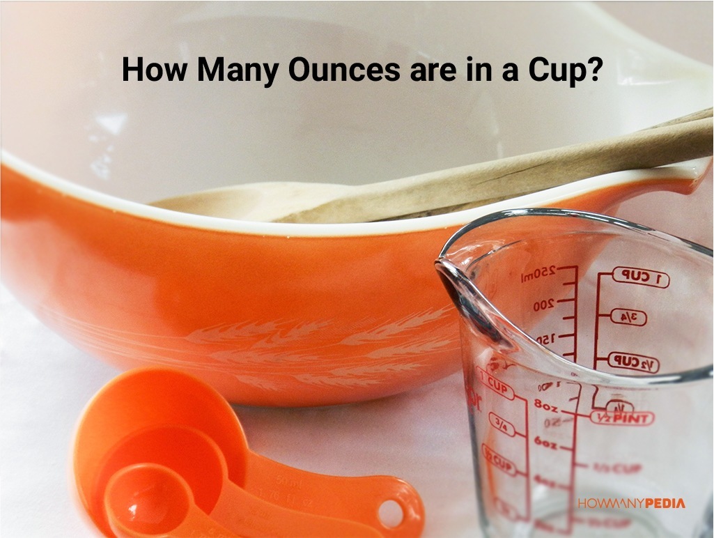 How Many Ounces Are In A Cup Howmanypedia