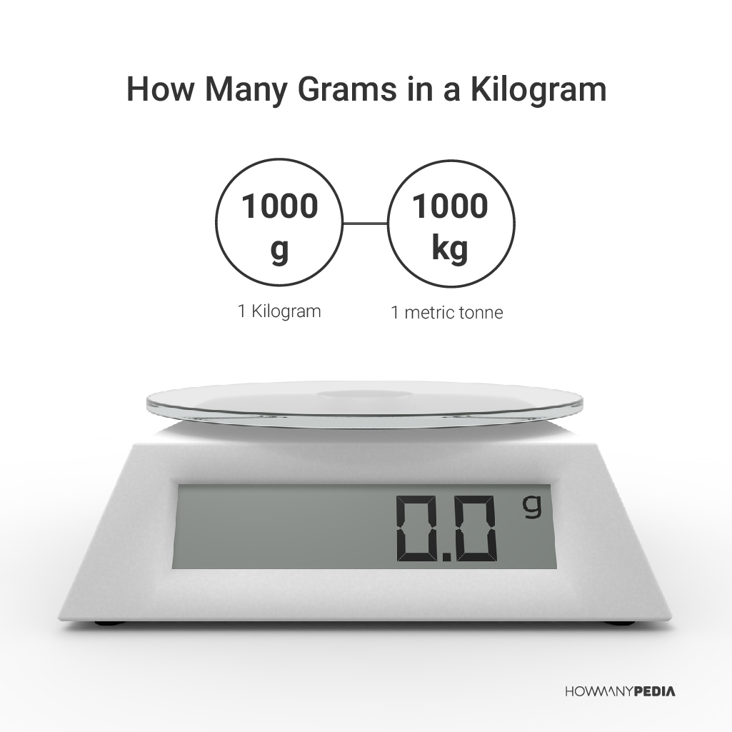 Basic ounces to grams weight conversions - Erren's Kitchen