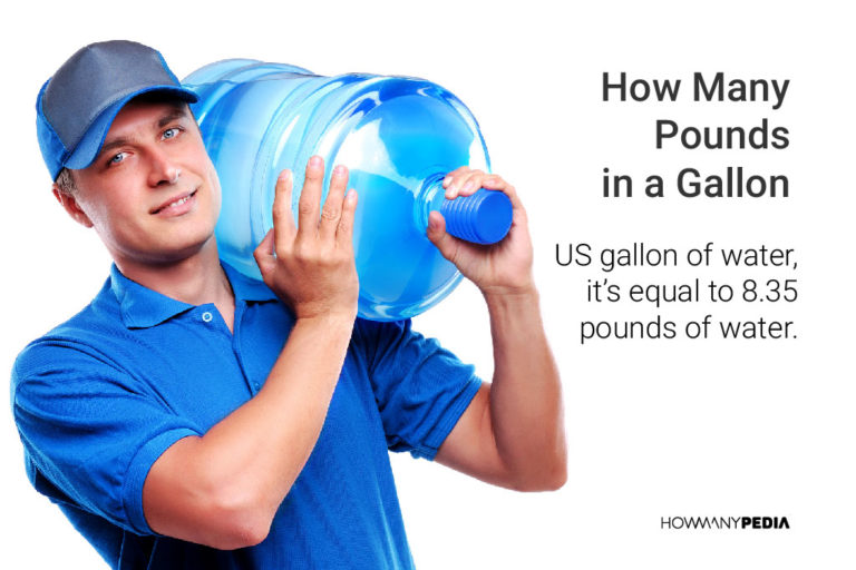 how-many-pounds-in-a-gallon-howmanypedia