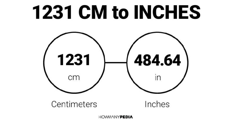 1231 CM to Inches