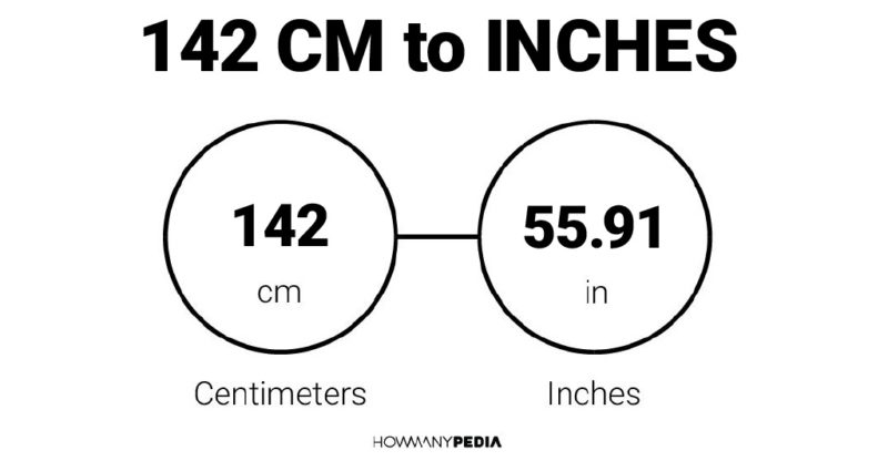 142 CM to Inches