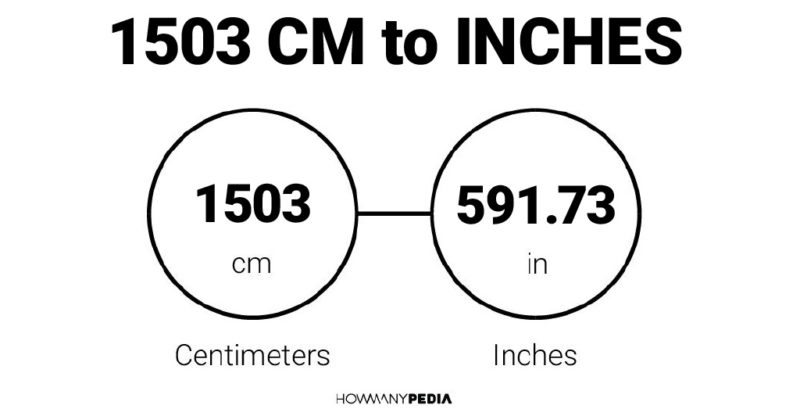 1503 CM to Inches