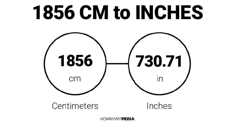 1856 CM to Inches