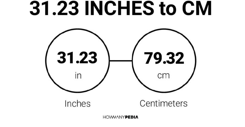 31.23 Inches to CM