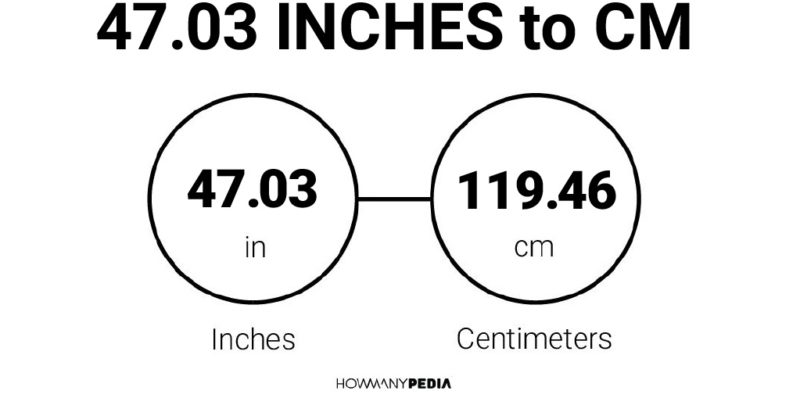47.03 Inches to CM