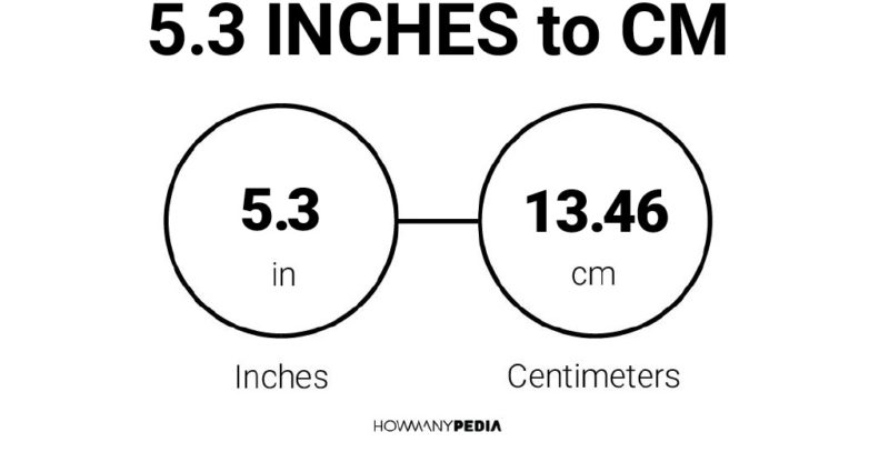 5 3 2025 inch in cm