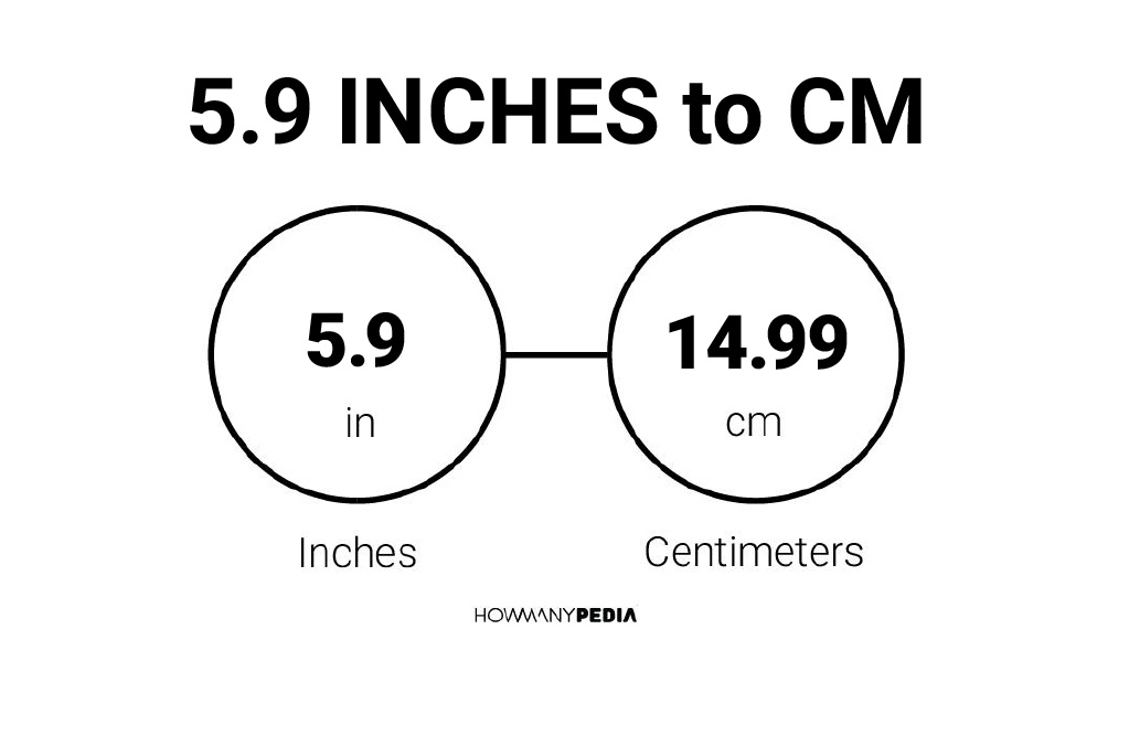 5 9 Inches To CM Howmanypedia