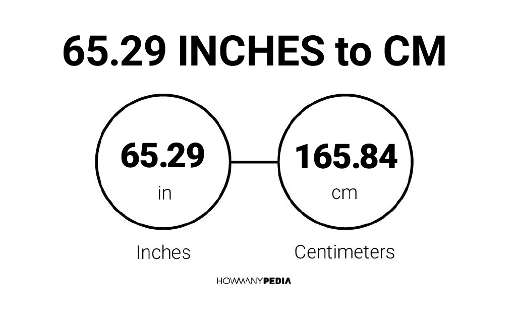 65-29-inches-to-cm-howmanypedia