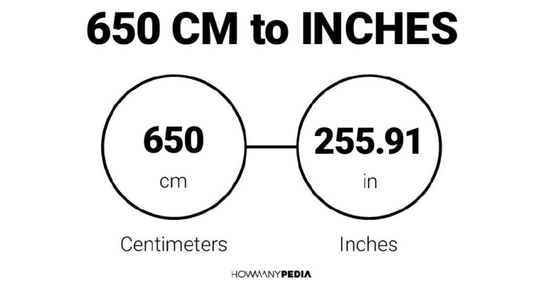 650 CM to Inches