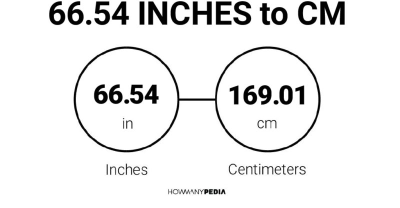 66-54-inches-to-cm-howmanypedia