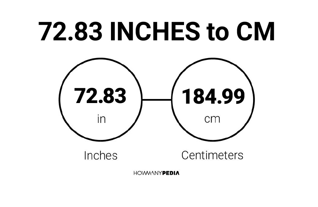 72.83 Inches to CM