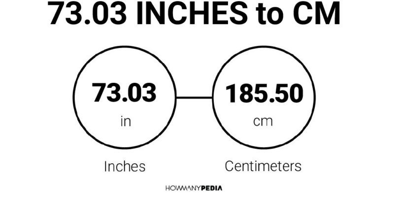 73.03 Inches to CM