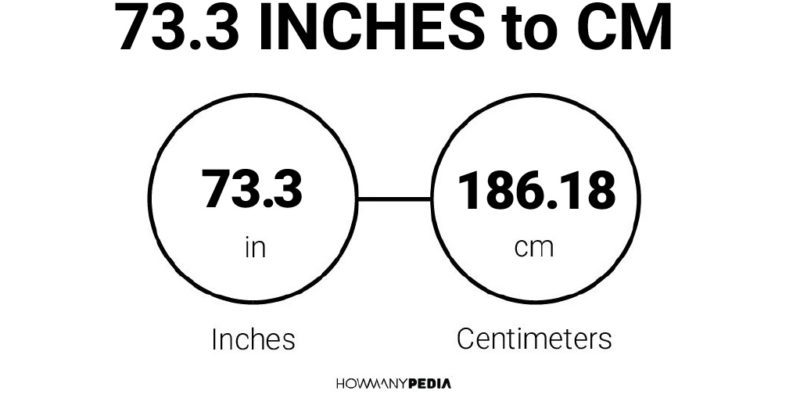 73.3 Inches to CM