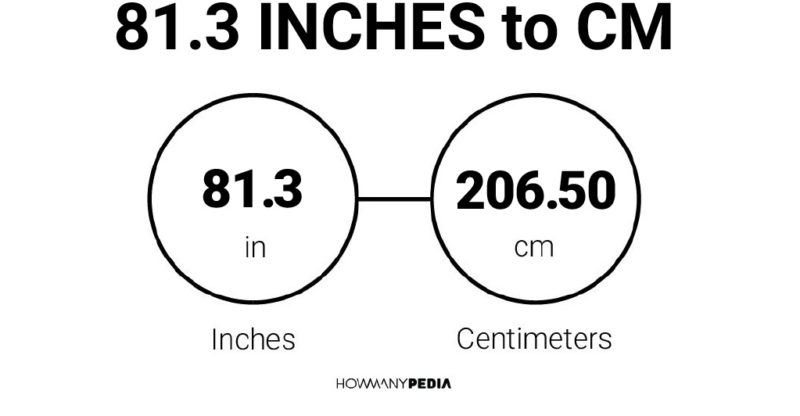 81.3 Inches to CM