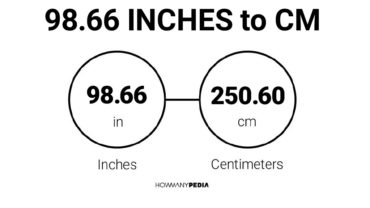 98.66 Inches to CM