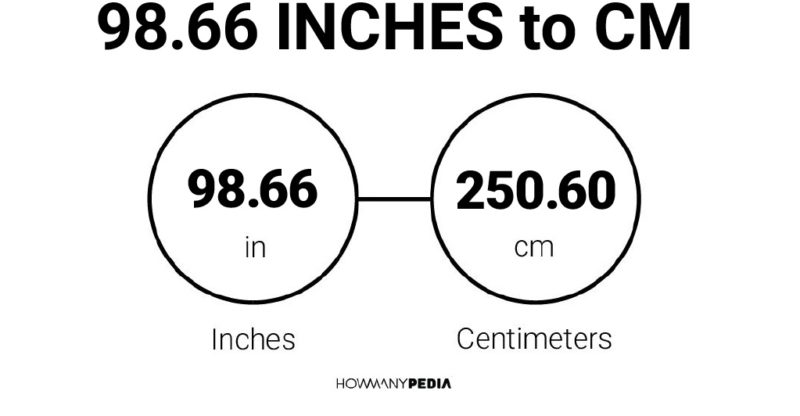 98.66 Inches to CM