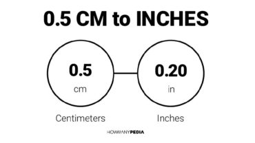 0.5 CM to Inches