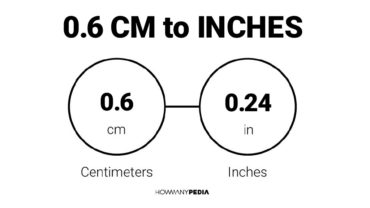 0.6 CM to Inches