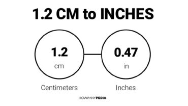 1.2 CM to Inches