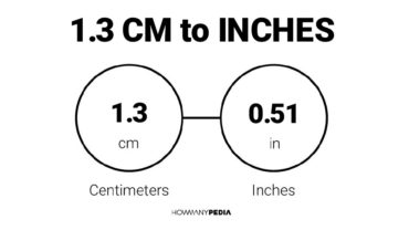 1.3 CM to Inches