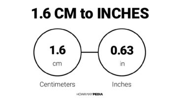 1.6 CM to Inches