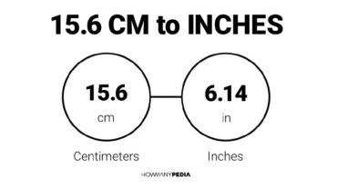 15.6 CM to Inches