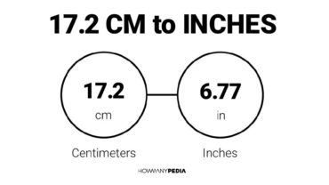 17.2 CM to Inches