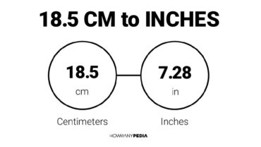 18.5 CM to Inches