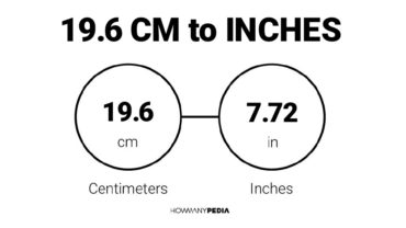 19.6 CM to Inches