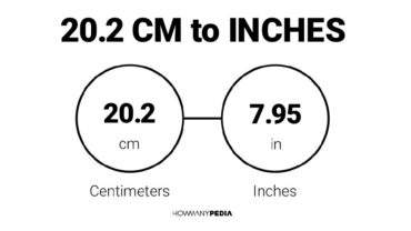 20.2 CM to Inches