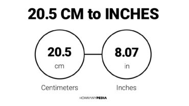 20.5 CM to Inches