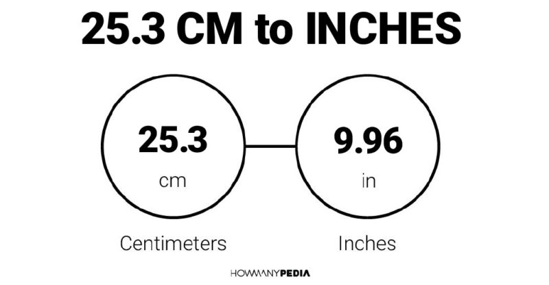 25.3 CM to Inches