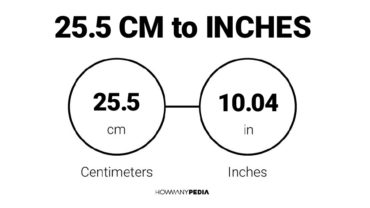 25.5 CM to Inches