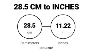 28.5 CM to Inches