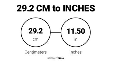 29.2 CM to Inches