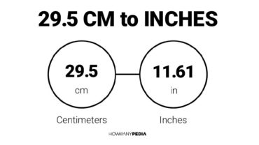 29.5 CM to Inches