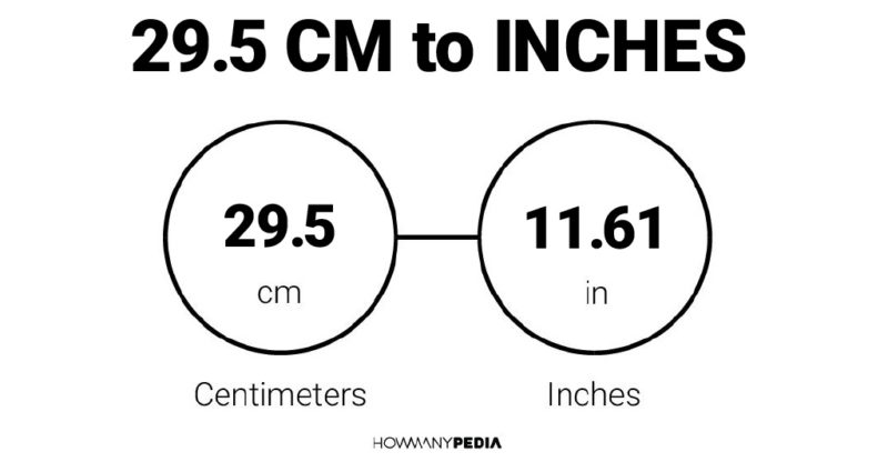 29.5 CM to Inches