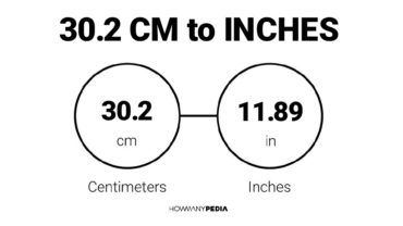 30.2 CM to Inches