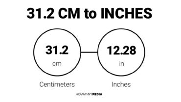 31.2 CM to Inches