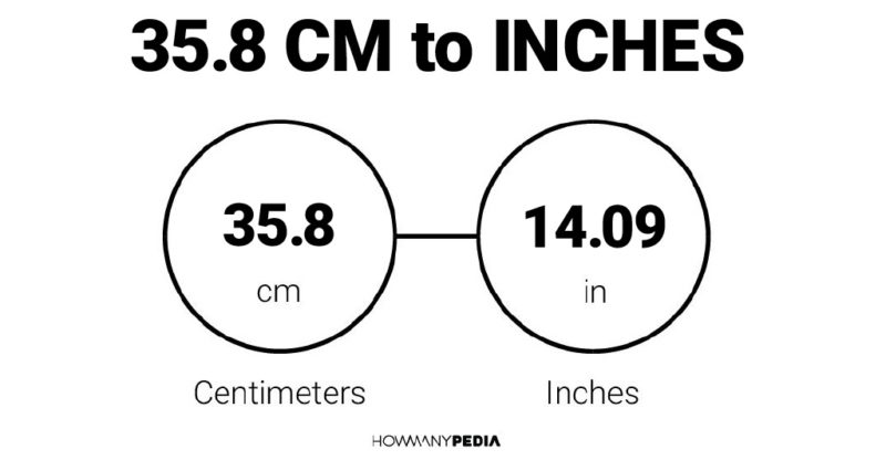 55 cm x 35 cm x 25 cm