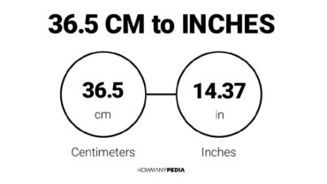 36.5 CM to Inches