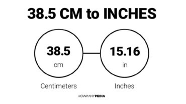 38.5 CM to Inches