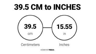 39.5 CM to Inches