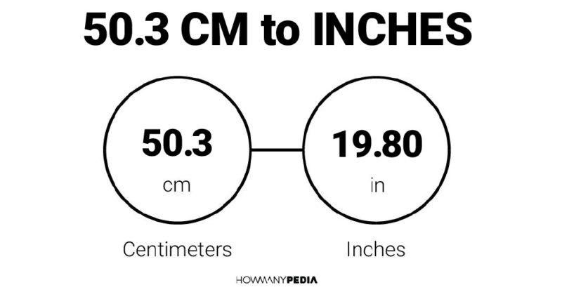 50.3 CM to Inches