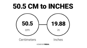 50.5 CM to Inches