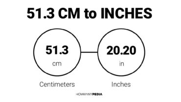 51.3 CM to Inches