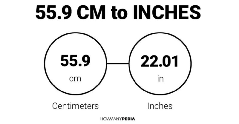 55.9 CM to Inches