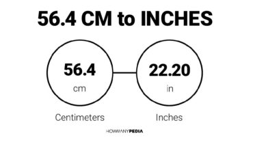 56.4 CM to Inches