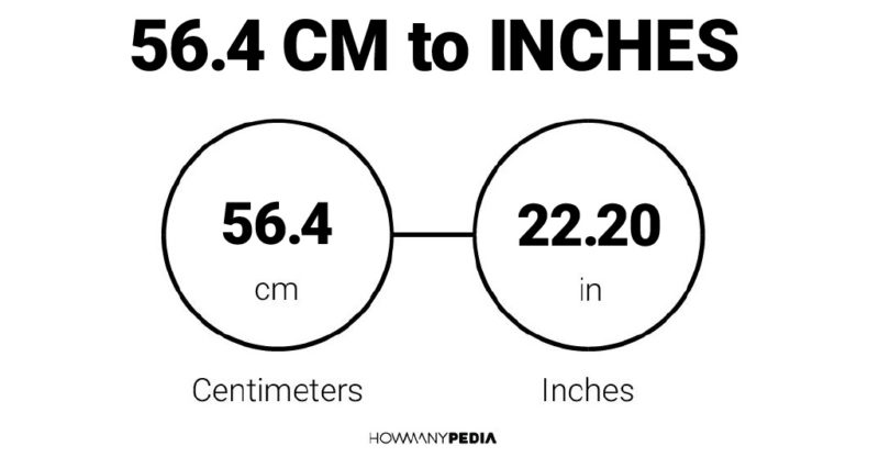 56.4 CM to Inches