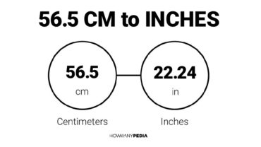 56.5 CM to Inches